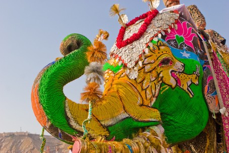 Elephant-Festival-Jaipur3
